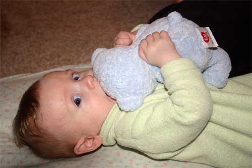 <p>Christian playing with Bluebear</p>