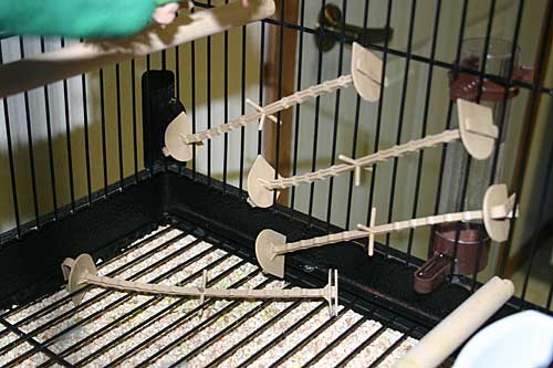 Plastic sticks that our Quaker Parakeet, Hank, has wedged into the bars of his cage.