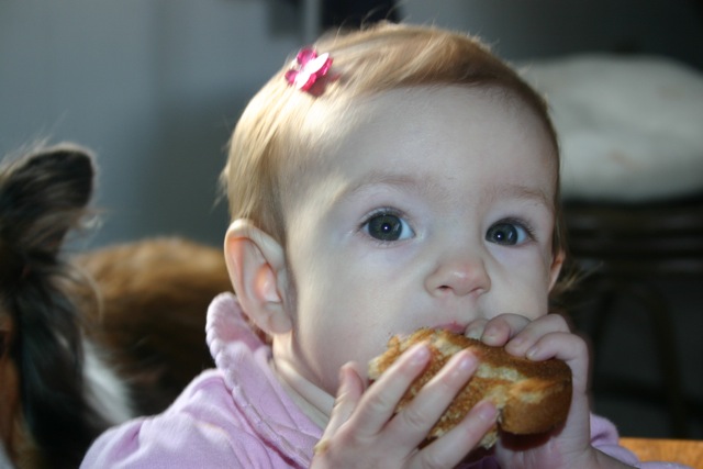 Abby eating a piece of bread