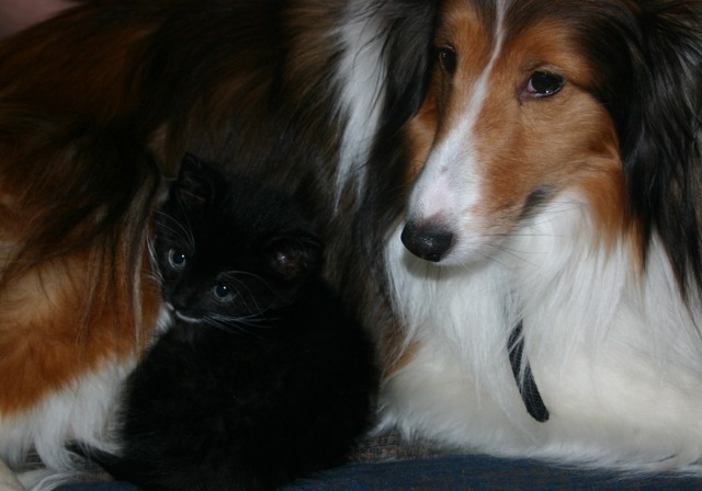 Jack and Eva
