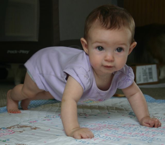 Abby crawling
